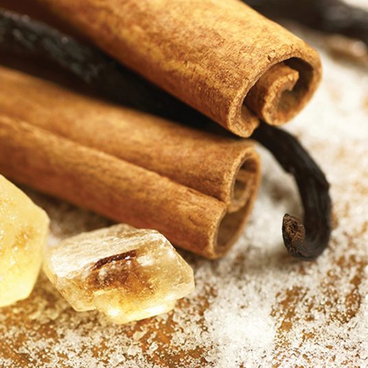 Vanilla Cinnamon - Wax Melt